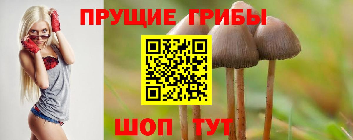 Псилоцибиновые грибы ЛСД  Вход с VPN  Галлюциногенные грибы Psilocybine cubensis  Ростов-на-Дону 